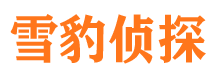 灵台侦探公司